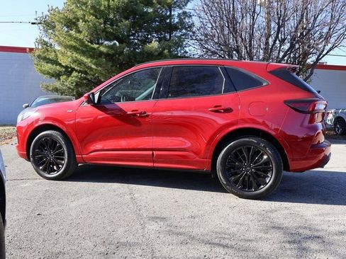 Used 2023 Ford Escape ST-Line Elite image 4