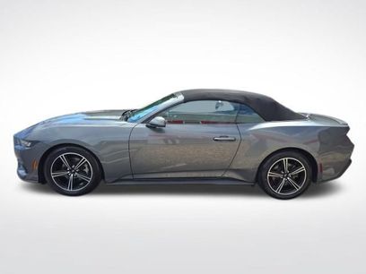 Used 2025 Ford Mustang Premium