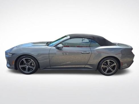 Used 2025 Ford Mustang Premium RWD image 2