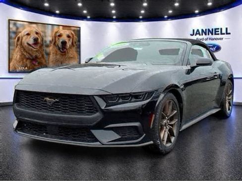 New 2026 Ford Mustang Premium RWD image 1