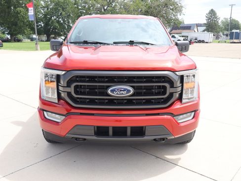Used 2023 Ford F150 XLT w/ Equipment Group 302A High AWD/4WD image 2