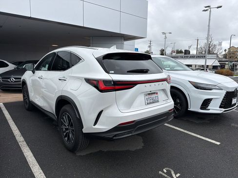 Used 2025 Lexus NX 350h AWD w/ Cold Area Package image 3