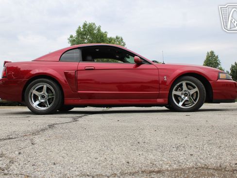 Used 2003 Ford Mustang Cobra RWD image 31