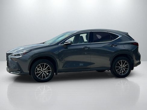 Used 2024 Lexus NX 350h AWD image 8
