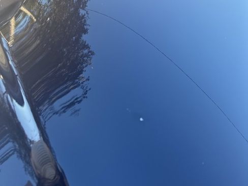 Used 2008 Lexus SC 430 Convertible image 7