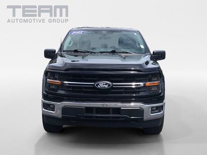Used 2025 Ford F150 XLT w/ Equipment Group 301A Standard