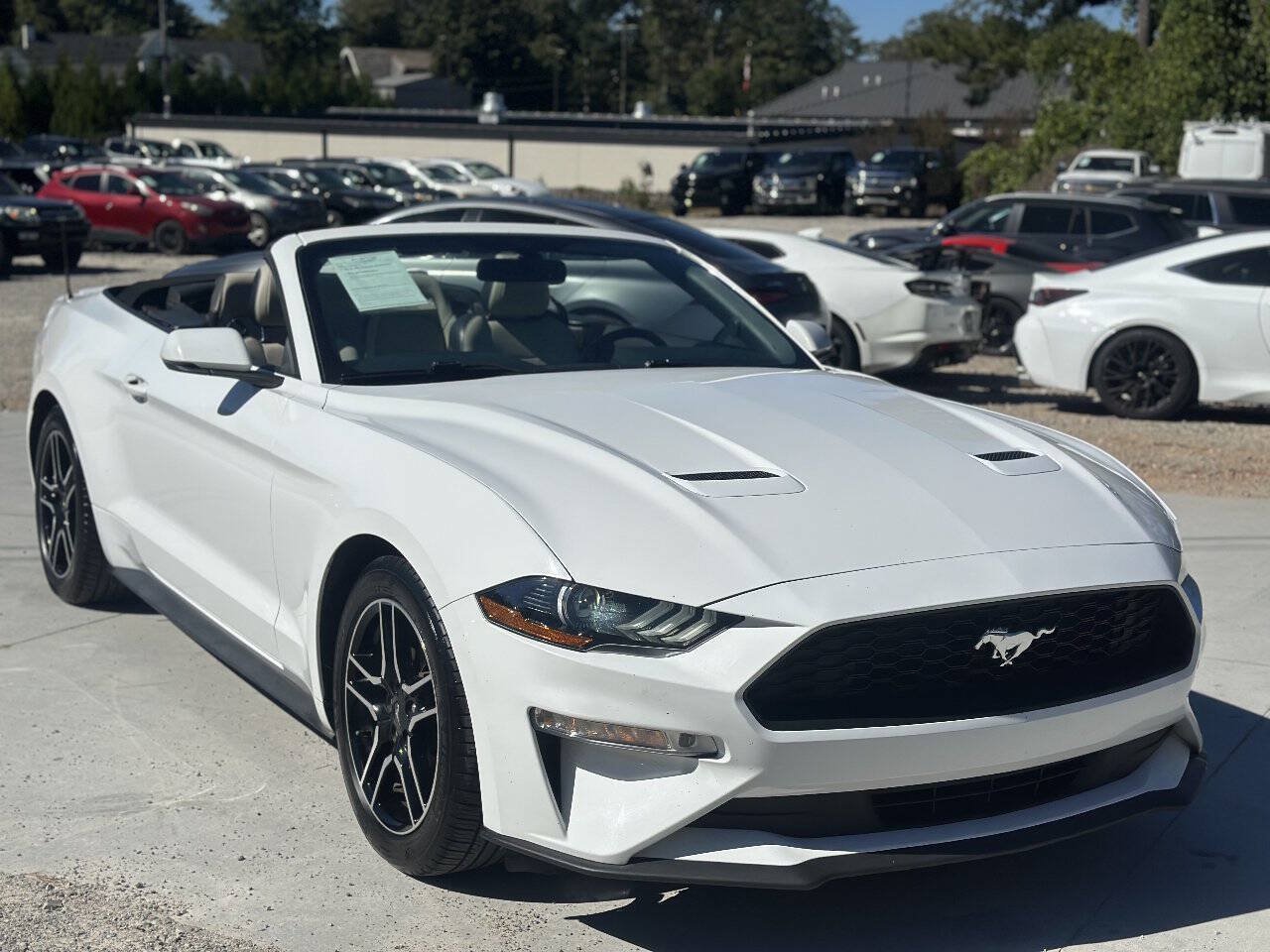Used 2018 Ford Mustang Premium RWD image 1