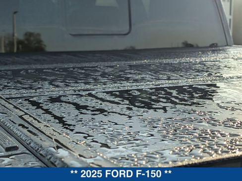 Used 2025 Ford F150 Raptor image 14