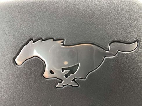 New 2026 Ford Mustang Coupe w/ Mustang Nite Pony Package image 24