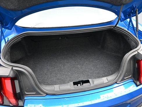 Used 2019 Ford Mustang Premium w/ Equipment Group 201A image 30