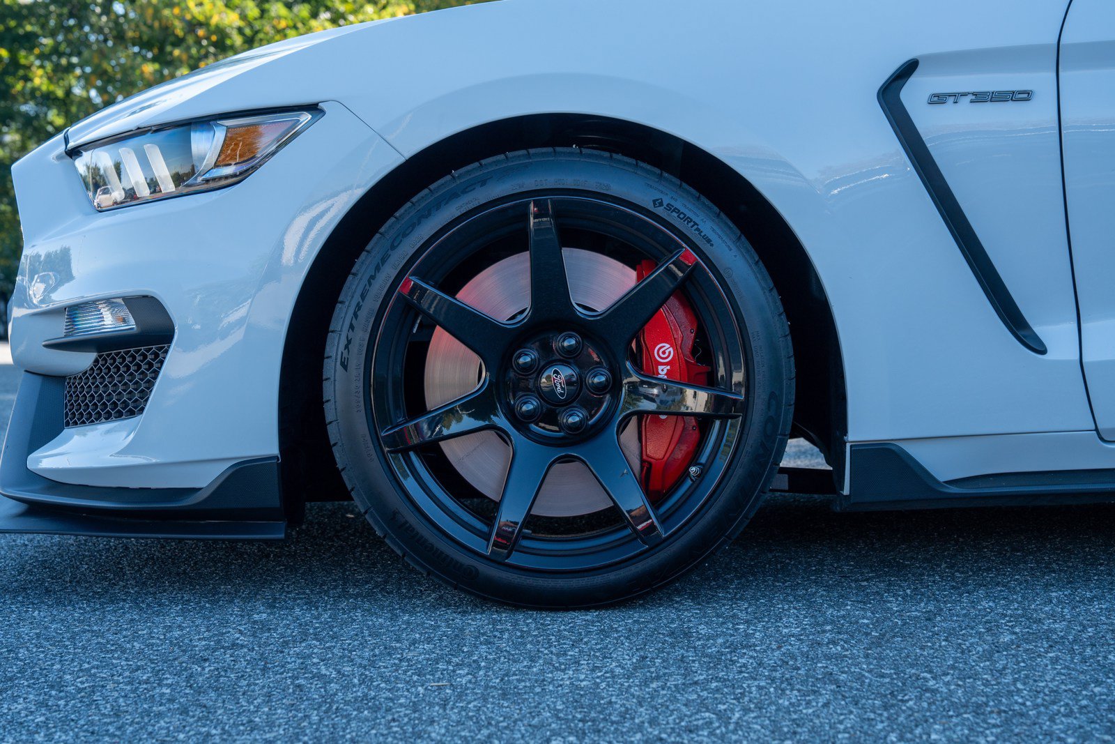 Used 2019 Ford Mustang Shelby GT350R w/ GT350R Equipment Group 920A RWD image 11