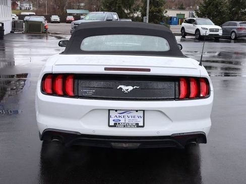 Used 2020 Ford Mustang Premium image 4