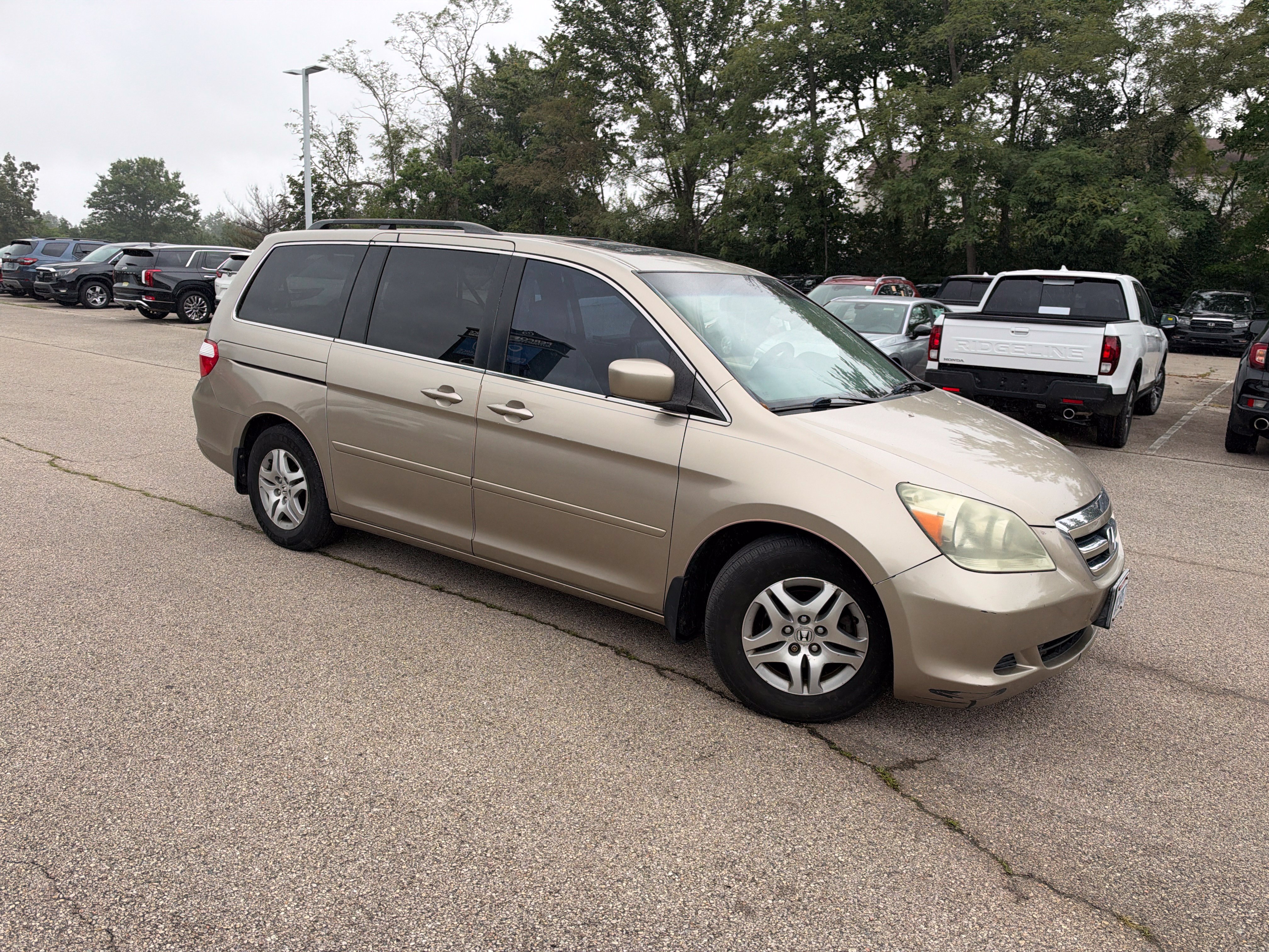 Used 2005 Honda Odyssey EX-L image 11