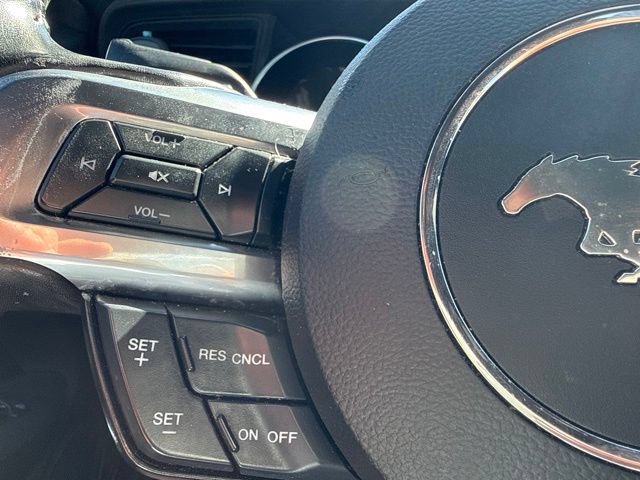 Used 2019 Ford Mustang GT w/ Equipment Group 301A RWD image 22