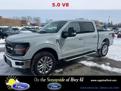 Used 2024 Ford F150 XLT w/ Equipment Group 303A High AWD/4WD image 1
