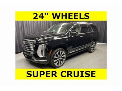 Used 2026 Cadillac Escalade Platinum Luxury