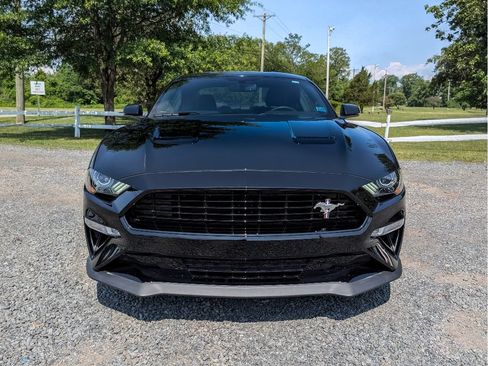Used 2020 Ford Mustang GT Premium w/ Equipment Group 401A RWD image 2