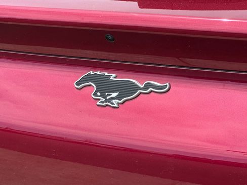 New 2025 Ford Mustang Mach-E Premium w/ Interior Protection Package image 26