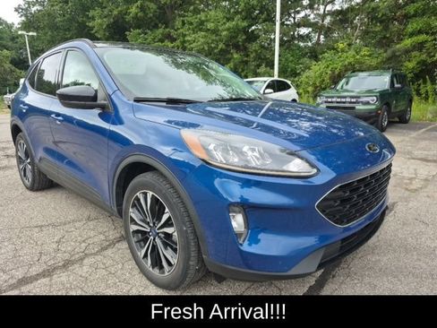 Used 2022 Ford Escape SEL w/ SEL Stealth AWD Package image 8