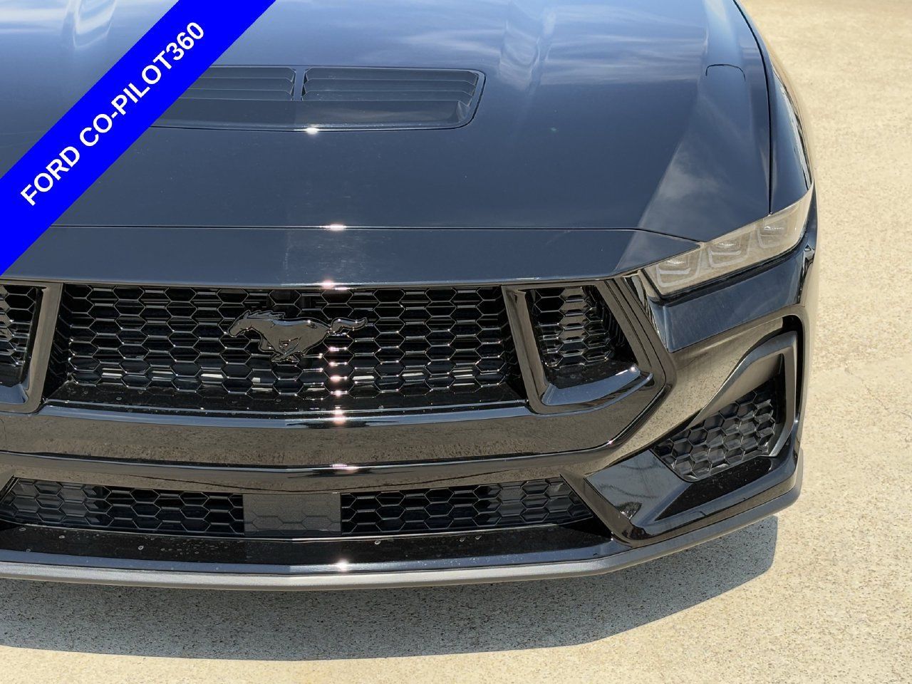 Used 2025 Ford Mustang GT w/ Mustang Nite Pony Package RWD image 11