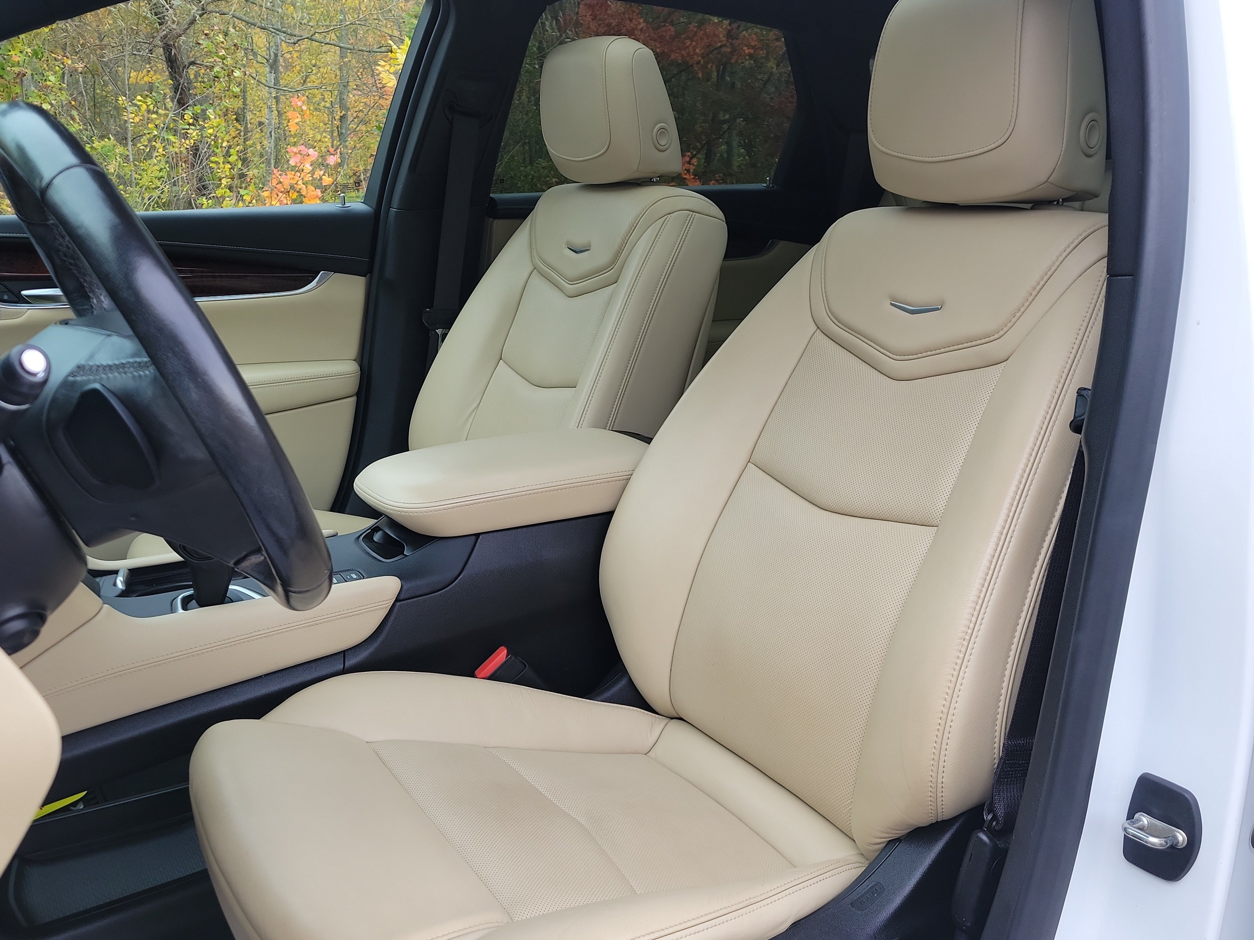 Used 2019 Cadillac XT5 Premium Luxury AWD/4WD image 14