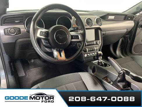 Used 2021 Ford Mustang GT w/ Equipment Group 301A image 8