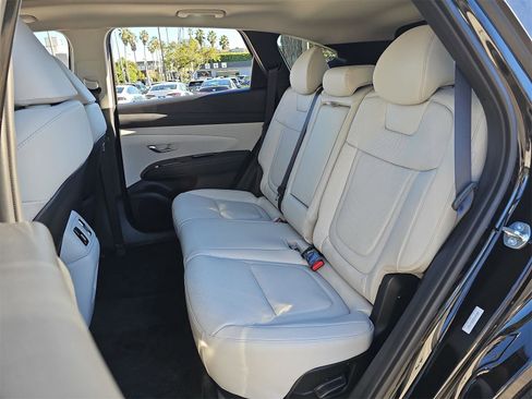 New 2025 Hyundai Tucson Limited image 14