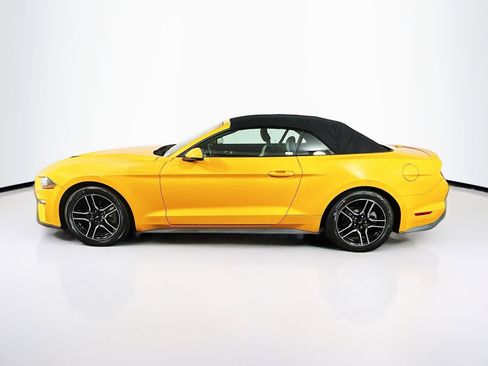 Used 2019 Ford Mustang Premium image 4