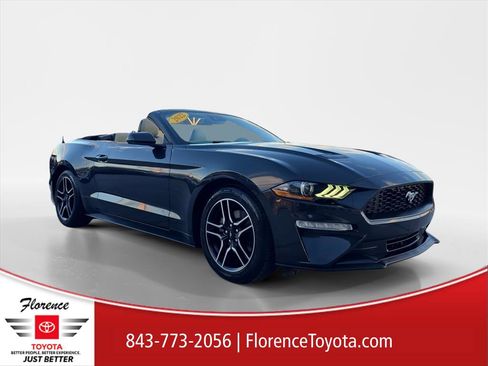 Used 2022 Ford Mustang Premium image 1