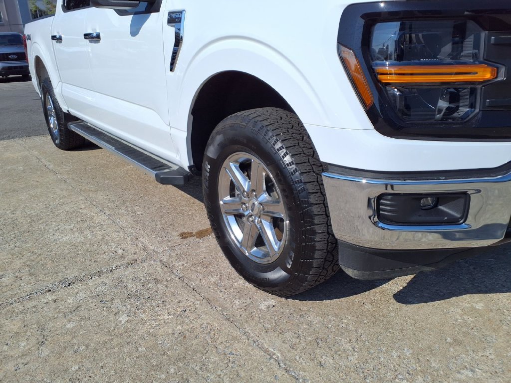 Used 2025 Ford F150 XLT w/ Equipment Group 301A Standard AWD/4WD image 18