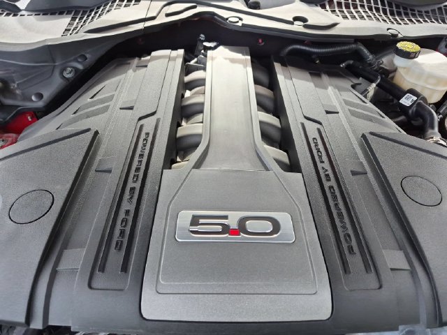 Used 2019 Ford Mustang GT RWD image 19
