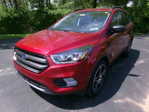 Used 2019 Ford Escape SEL AWD/4WD image 4