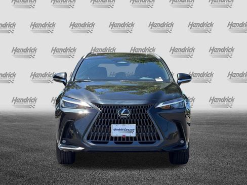Used 2024 Lexus NX 350h AWD w/ Cold Area Package image 10