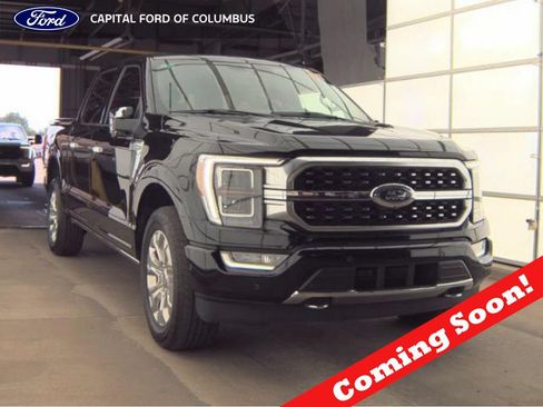 Used 2023 Ford F150 Platinum w/ Equipment Group 701A High AWD/4WD image 1
