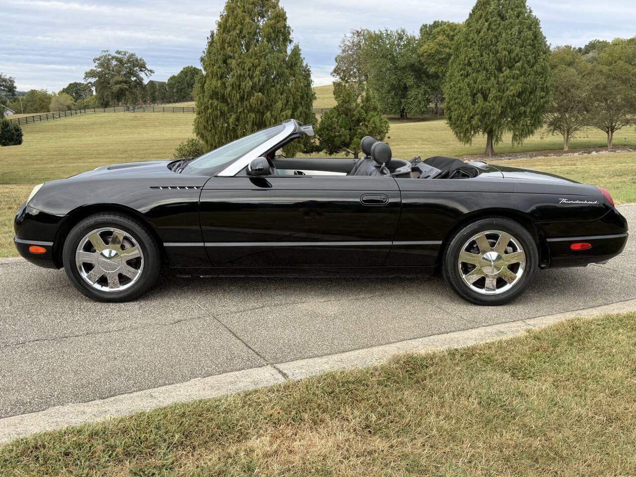 Used 2002 Ford Thunderbird RWD image 6