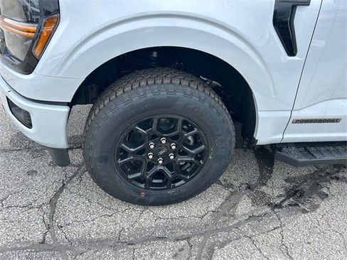 New 2025 Ford F150 XLT w/ Equipment Group 302A MID image 15