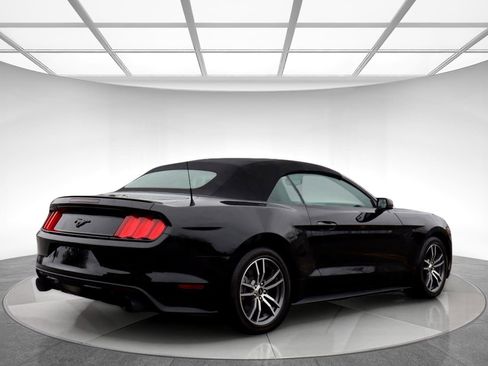 Used 2015 Ford Mustang Premium image 8