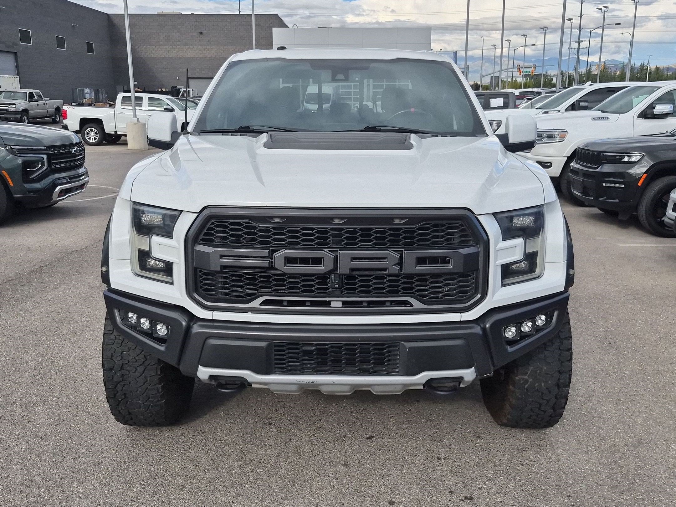 Used 2018 Ford F150 Raptor w/ Equipment Group 802A Luxury AWD/4WD image 9
