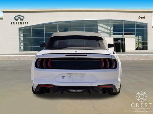 Used 2019 Ford Mustang GT Premium w/ Equipment Group 401A image 4