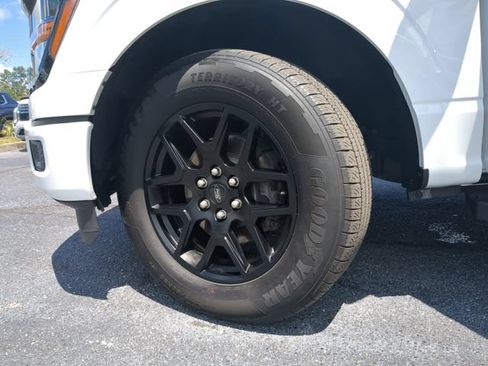 Used 2024 Ford F150 STX w/ STX Black Appearance Package RWD image 35
