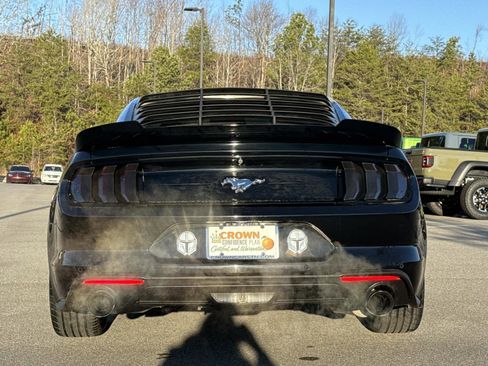 Used 2019 Ford Mustang Coupe w/ Equipment Group 101A image 6