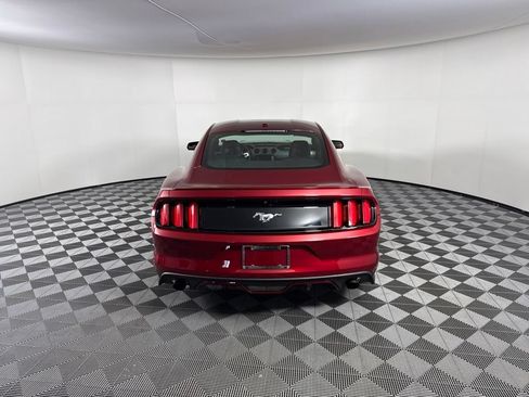 Used 2017 Ford Mustang Premium w/ Equipment Group 201A RWD image 4