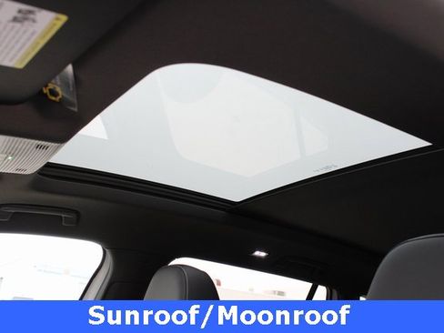 New 2026 Volkswagen Tiguan SEL R-Line image 6