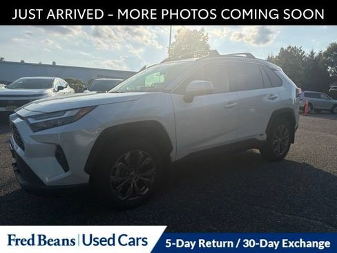 Used 2023 Toyota RAV4 XLE Premium AWD/4WD image 3