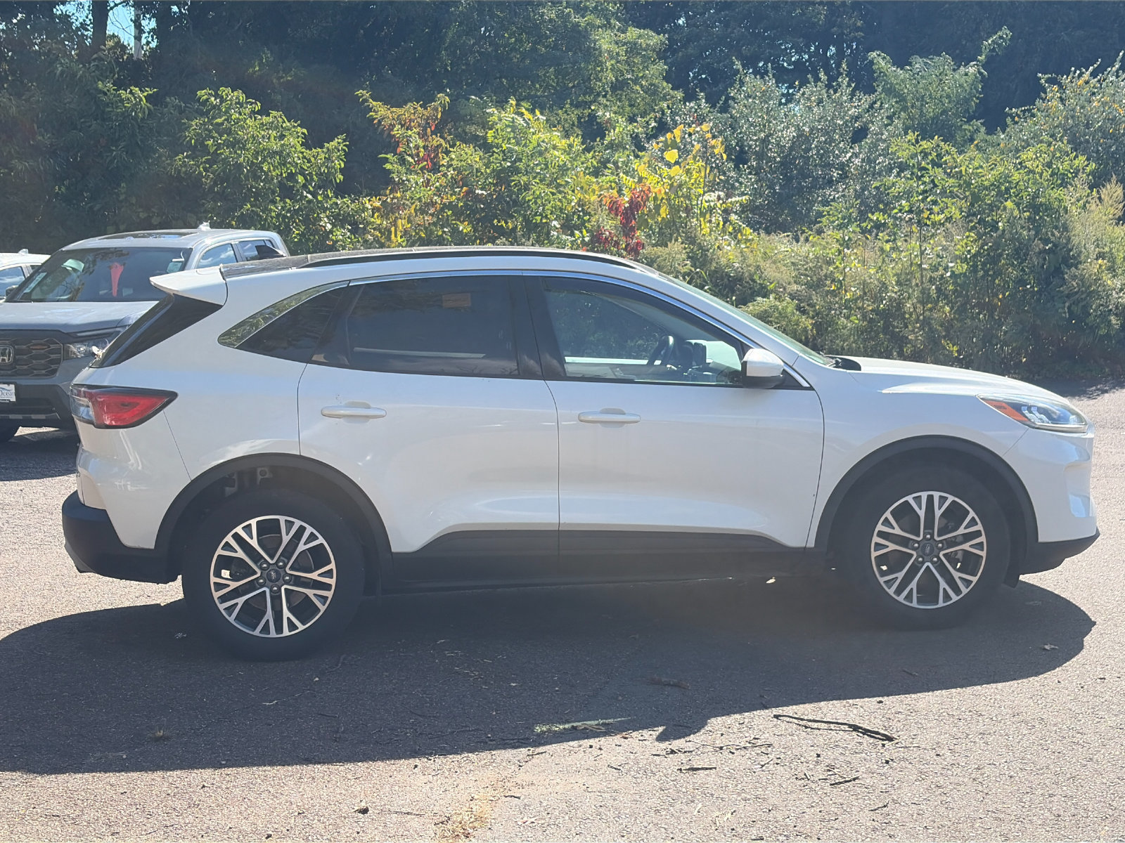 Used 2020 Ford Escape SEL AWD/4WD image 6