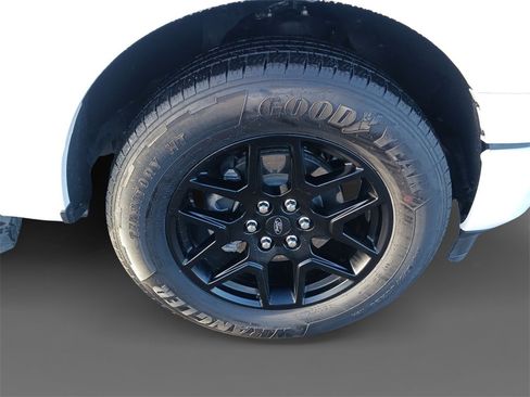 Used 2024 Ford F150 STX w/ STX Black Appearance Package image 16