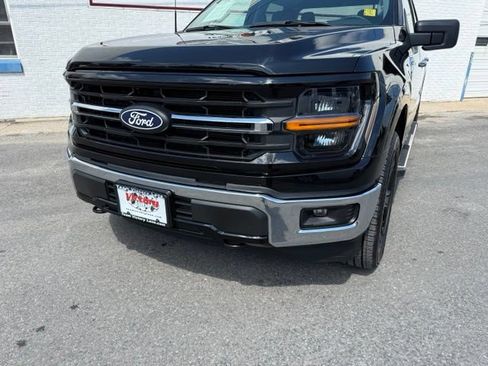 Used 2025 Ford F150 XLT w/ Equipment Group 301A Standard AWD/4WD image 2
