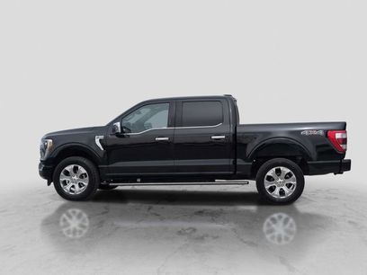 Certified 2023 Ford F150 Platinum