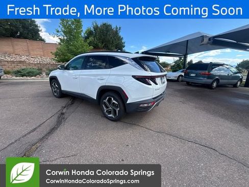 Used 2024 Hyundai Tucson Limited AWD/4WD image 5