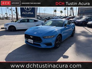 Used 2024 Ford Mustang Premium video 1